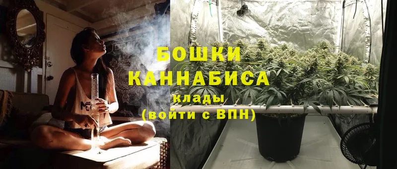 Конопля Ganja  Сафоново 